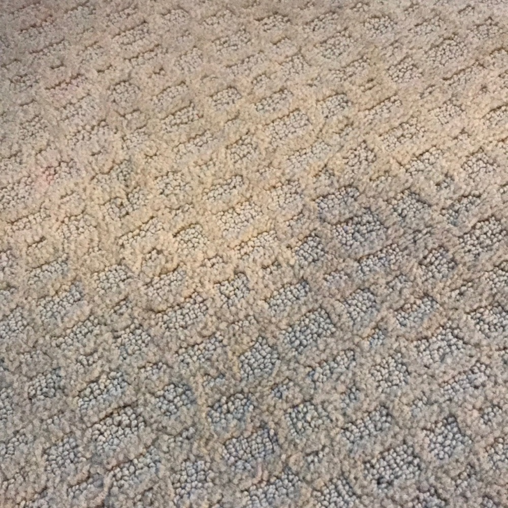 Meet your Posher, Emilia